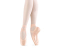 Elegance Pointe Shoe for Women by Bloch